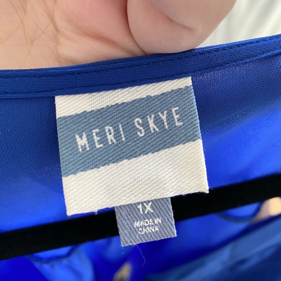 Blue Ruffle Blouse - Picture 3 of 3